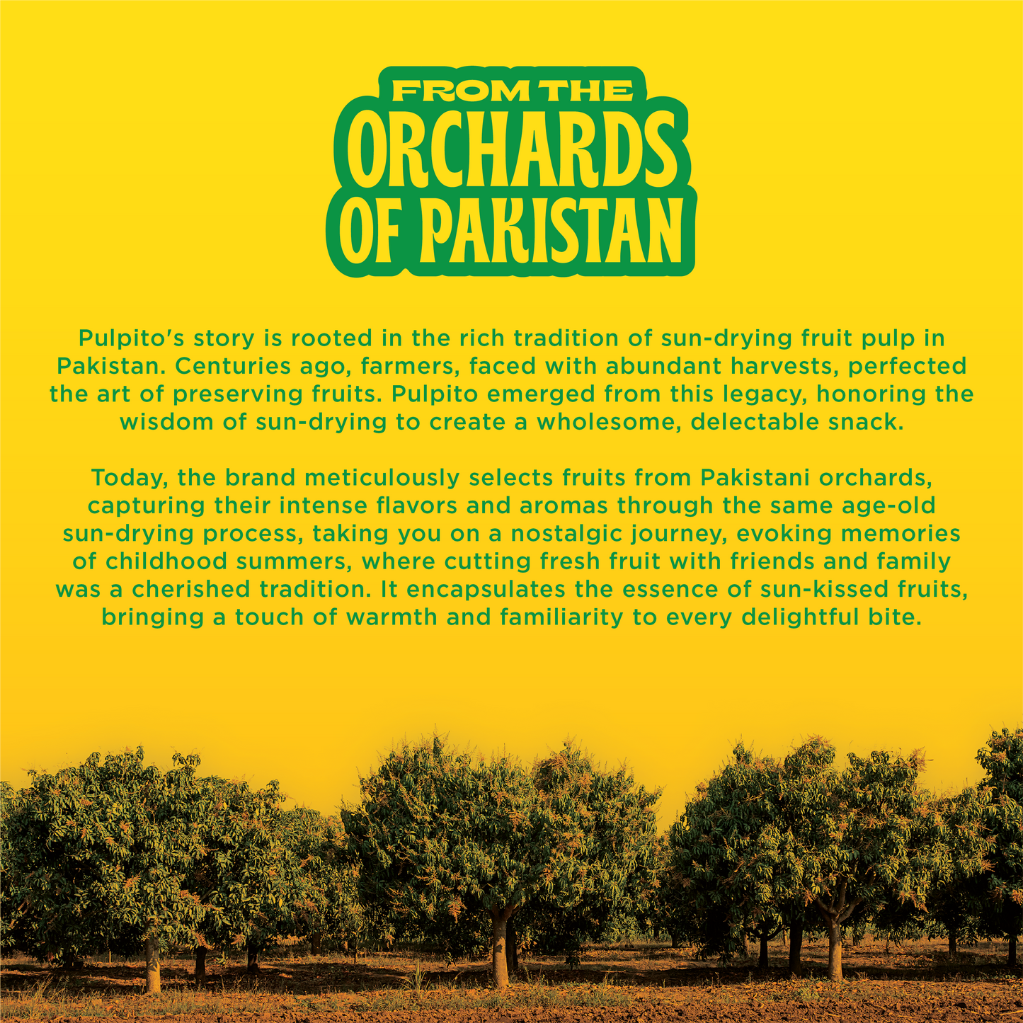 Pulpito Fruit Bites | Masala Mango - Natural Fruit Snacks - Dried Fruit Bites