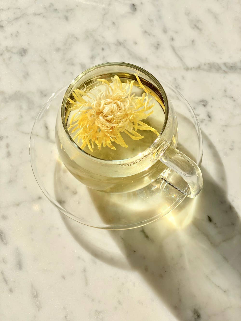 The Qi | Floral Tea Tasting Sampler