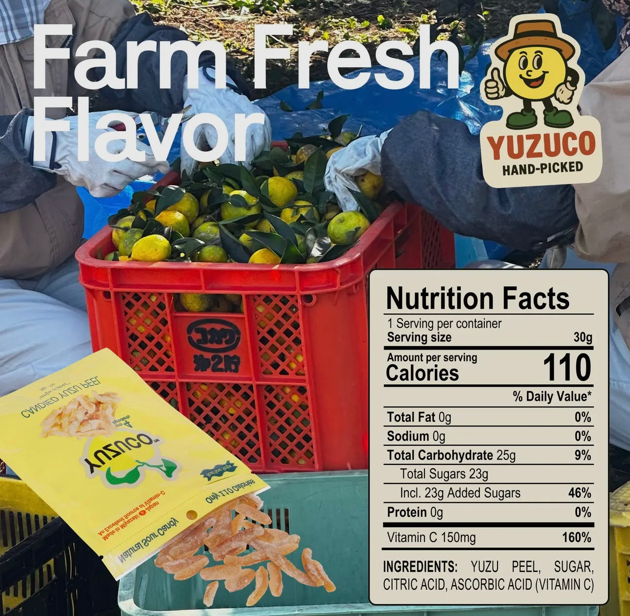 Yuzuco | Candied Yuzu Peel