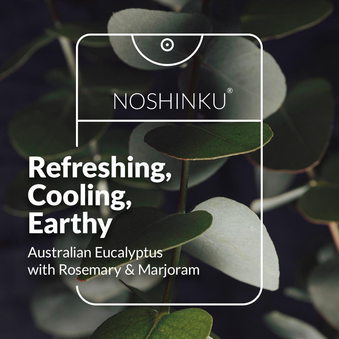 Noshinku | REFILLABLE Eucalyptus Moisturizing Pocket Hand Sanitizer