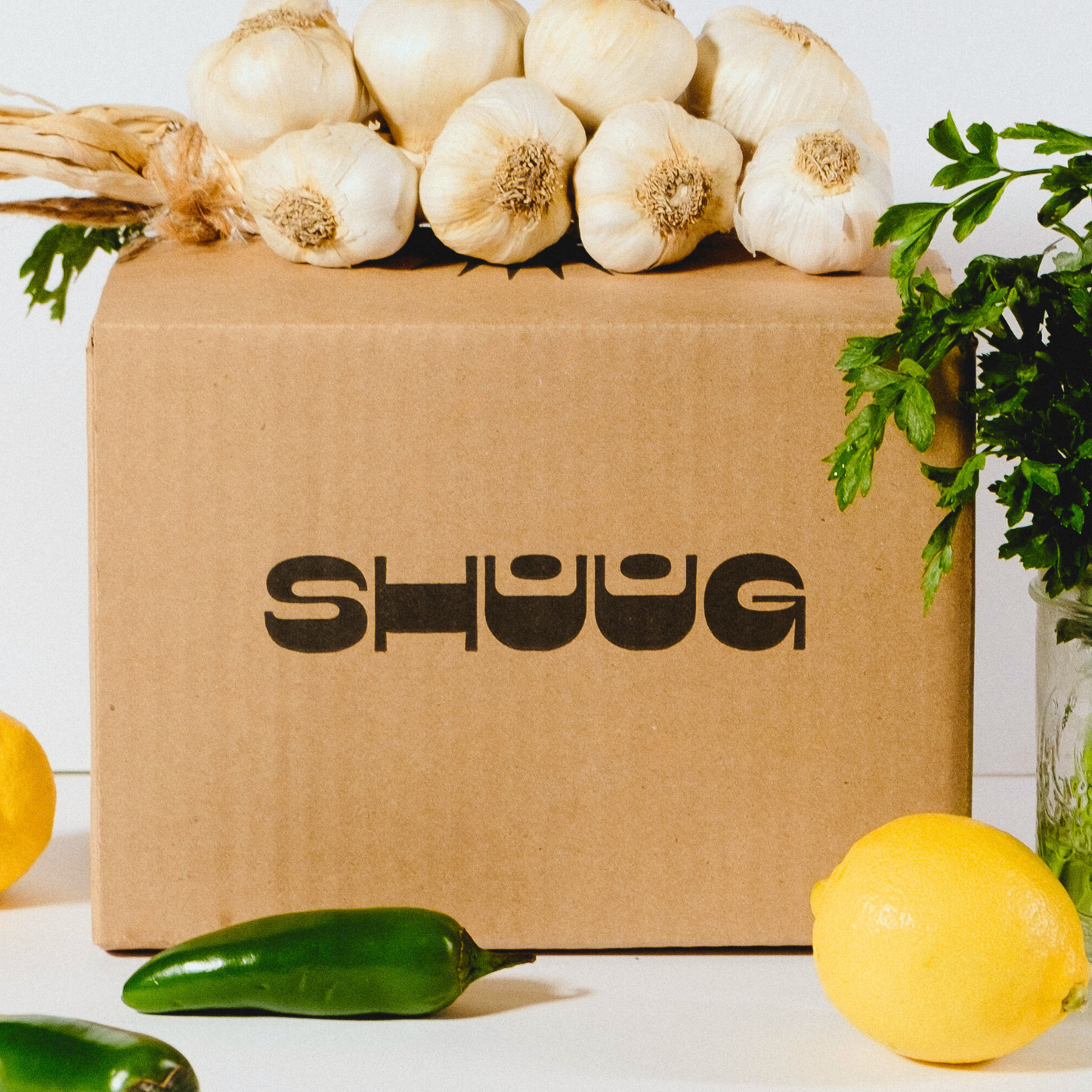 Shuug | Shuug Sauce 9oz (Zhoug)