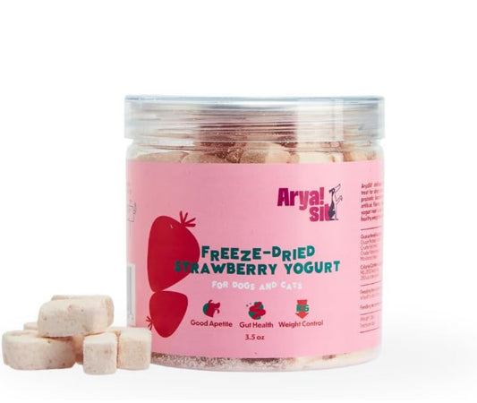 Arya Sit | Freeze Dried Strawberry Yogurt