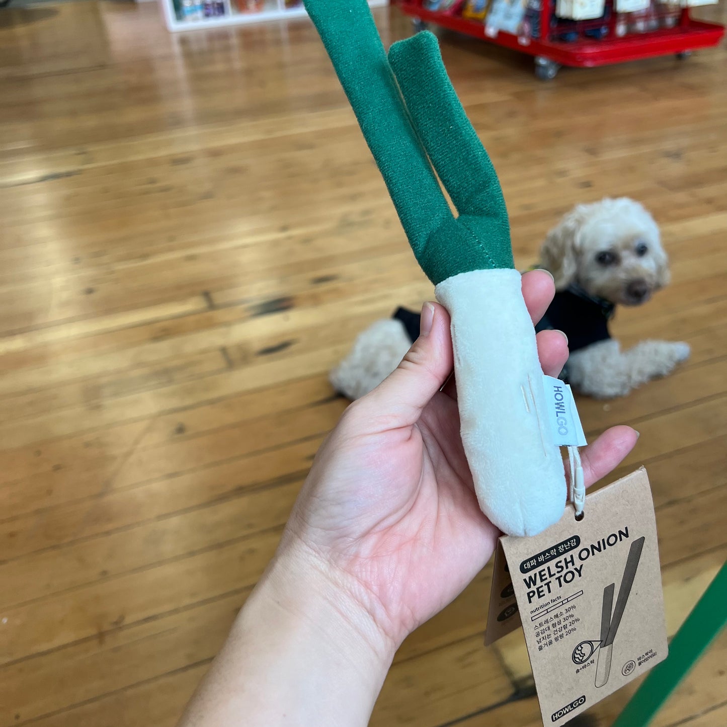 Howl Go | Green onion Dog Toy (Rustle Toy)