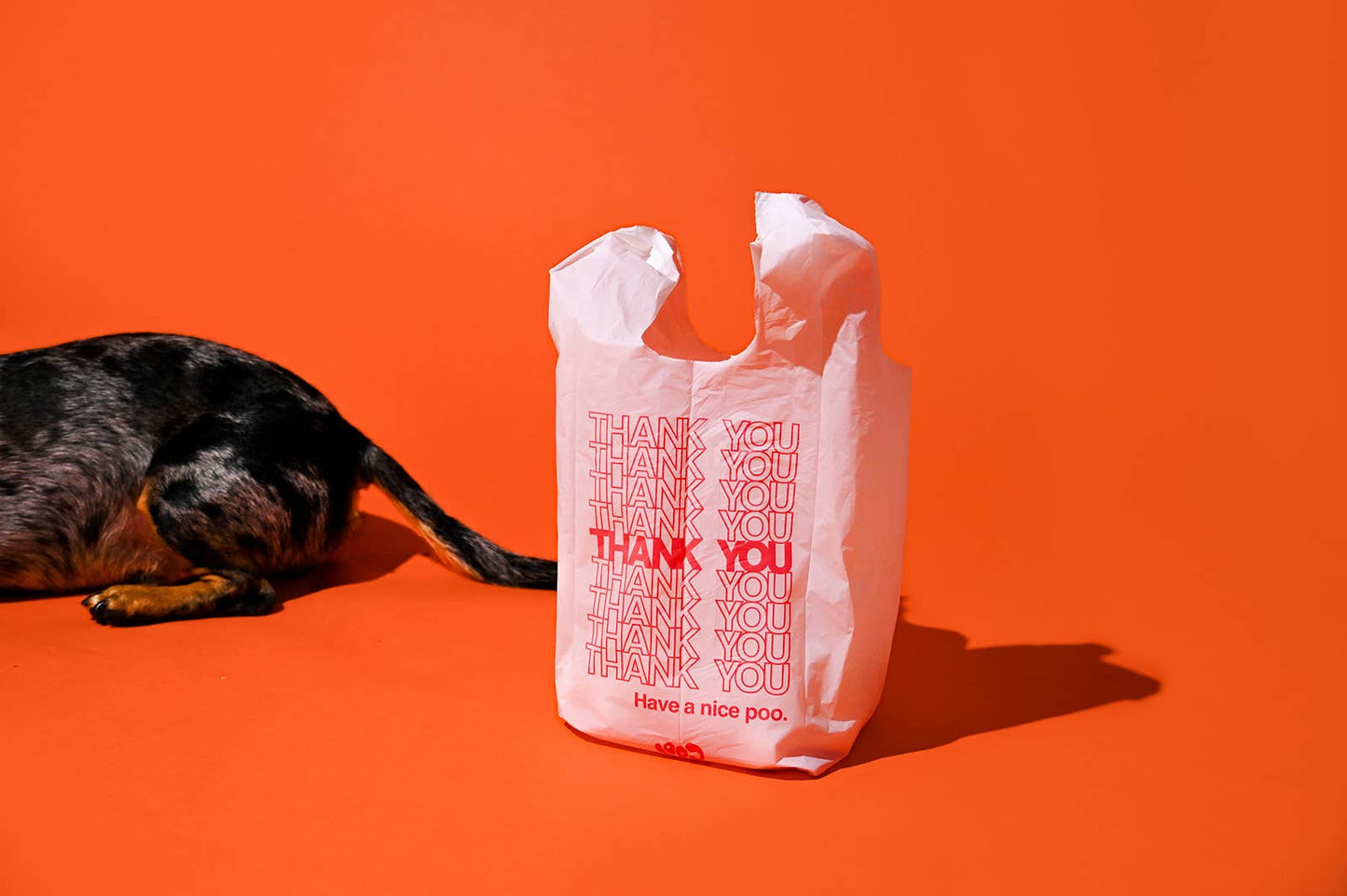 Cool Poo Bags | (single roll) The Thank You Bag