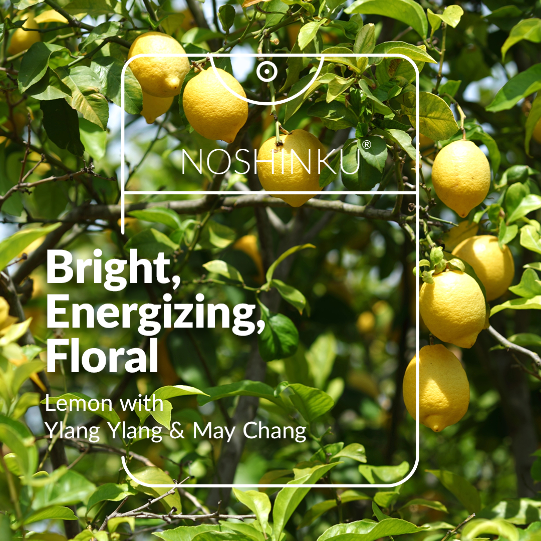 Lemon Ylang-Ylang Moisturizing Pocket Hand Sanitizer