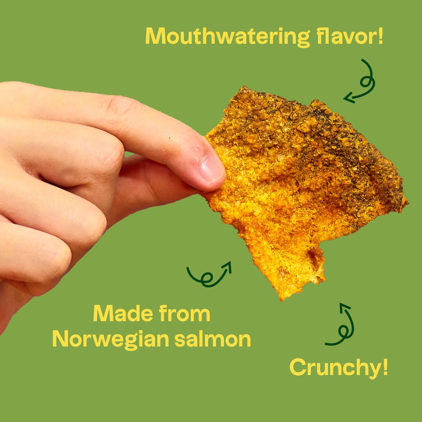 Tochi Snacks | Salmon Chips Salted Egg