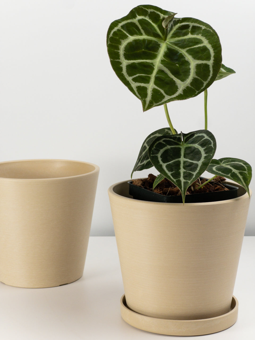 Kanso Designs | Earth Tones - 7" Tapered Signature Planter Pot & Saucer Set